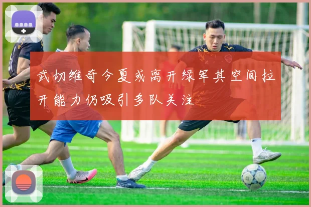 武切维奇今夏或离开绿军其空间拉开能力仍吸引多队关注